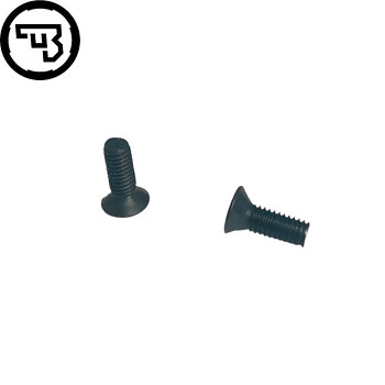 CZ red dot plate spare screws | 2pcs